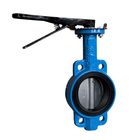 Round Rubber Fkm Seat , Seal Seat For Wafer / Lug / Concentric Butterfly Valve