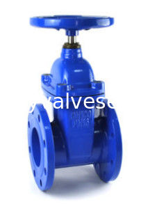 Soft Sealing Vulcanzied Valve Seat Of Resilient Seated Gate Valve